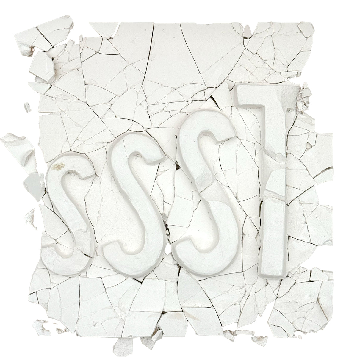 101_SSST